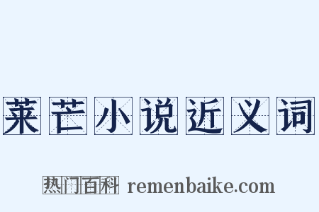 莱芒小说近义词是什么意思的图片